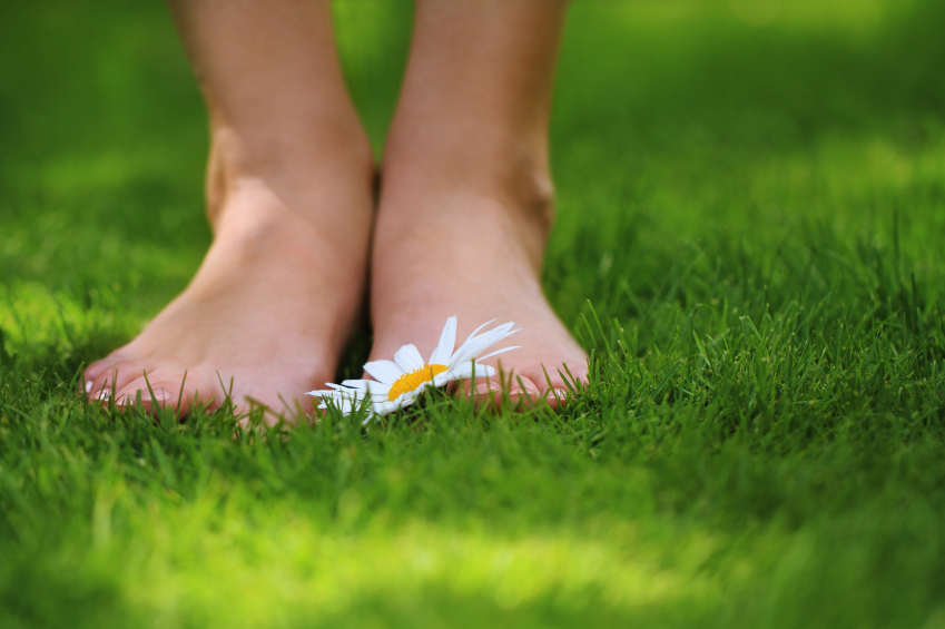 Pair Of Feet In The Grass Beside A Yellow Flower